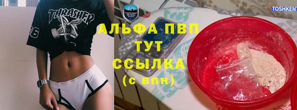 прущие грибы Алзамай