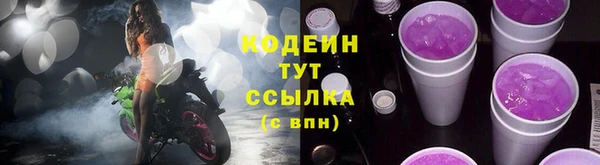 прущие грибы Алзамай