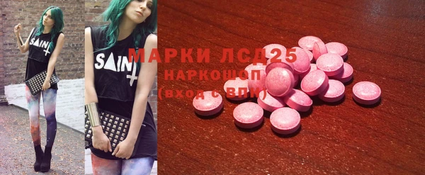 прущие грибы Алзамай