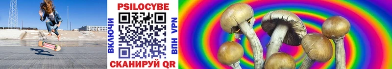 Псилоцибиновые грибы Psilocybe omg ONION Агрыз